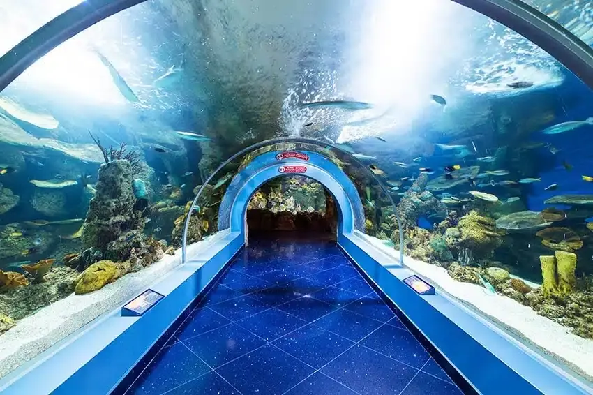 الفعاليات السياحية الشبابية في جدة