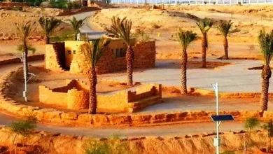 منتزه الملك سلمان البري