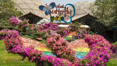 حديقة الفراشات دبي