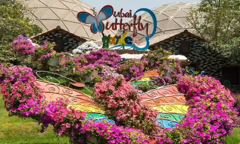 حديقة الفراشات دبي