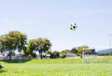 ملاعب كرة قدم في الشارقة