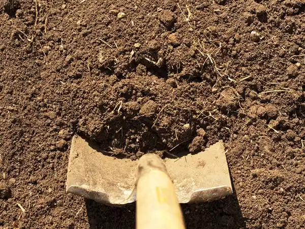 تفسير حلم أكل التراب في المنام