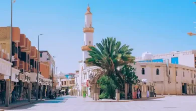 أبرز أماكن الزيارة في الطائف