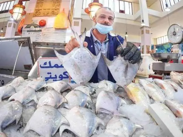 أسعار الأسماك المحلية في الكويت