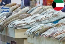 أسعار الأسماك المحلية في الكويت