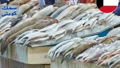 أسعار الأسماك المحلية في الكويت