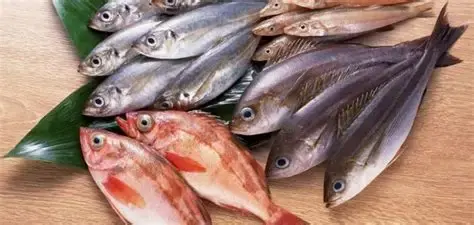 تفسير رؤية السمك في المنام للرجل